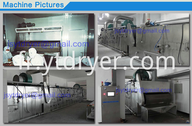 Fruit Drying Process Machine/Mesh Belt Dryer